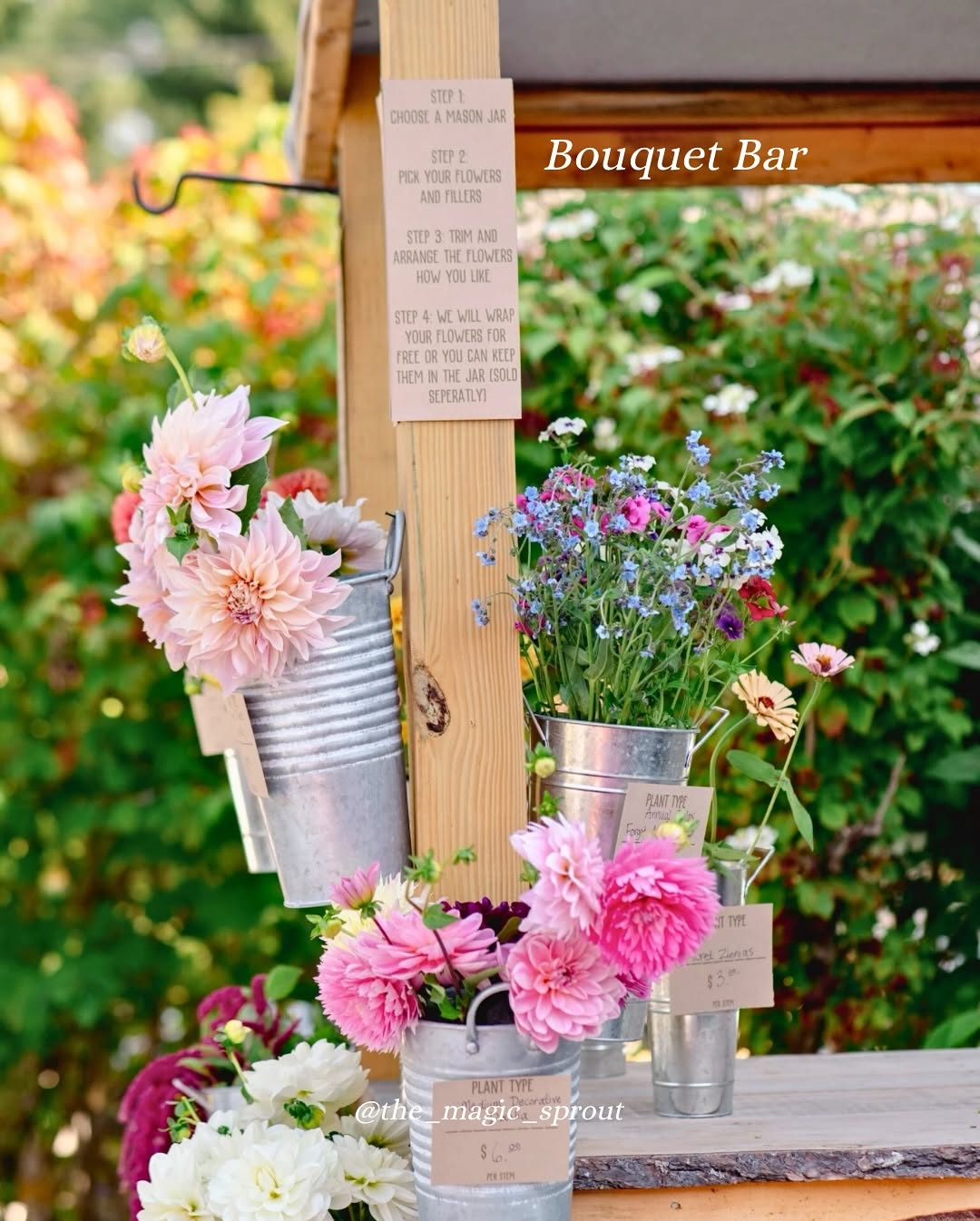 Beautiful garden background