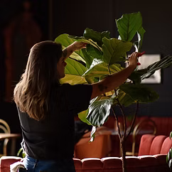 Maintenance services