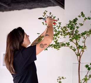 Interior Plant Services